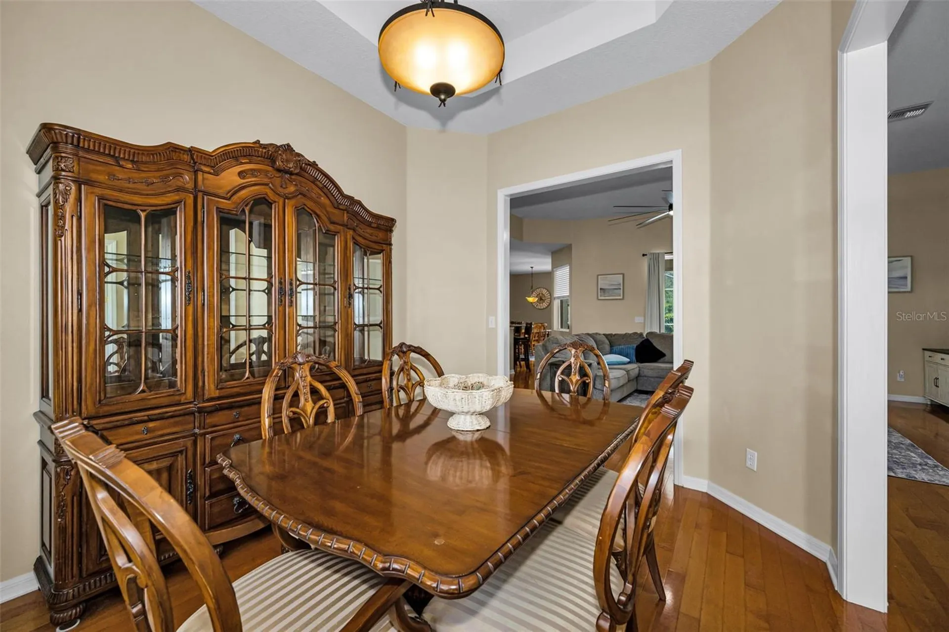 22441 Panther Run Court Land O Lakes FL 34639
