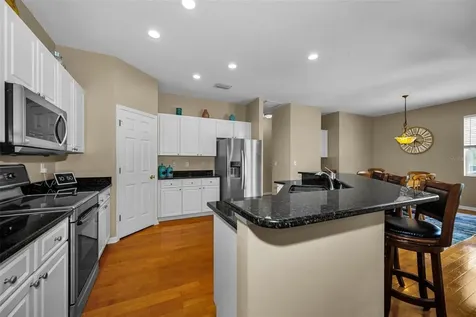 22441 Panther Run Court Land O Lakes FL 34639