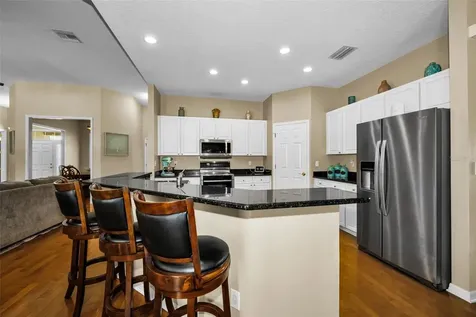 22441 Panther Run Court Land O Lakes FL 34639