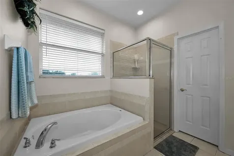 22441 Panther Run Court Land O Lakes FL 34639