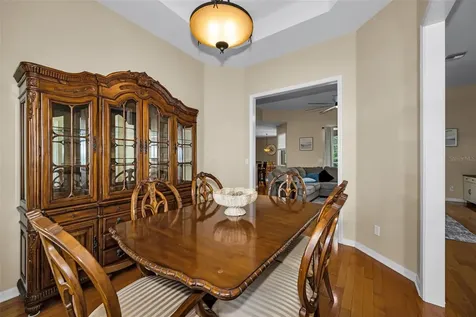 22441 Panther Run Court Land O Lakes FL 34639