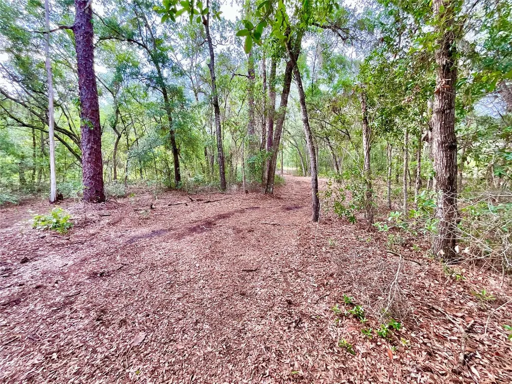 125 Silver Dollar Pond Road Hawthorne FL 32640