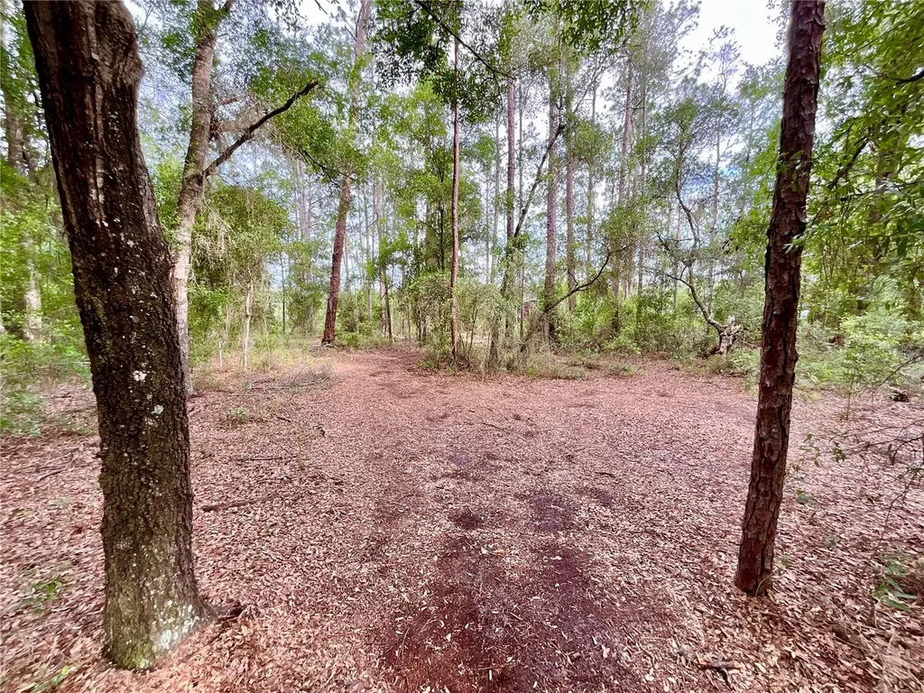 125 Silver Dollar Pond Road Hawthorne FL 32640