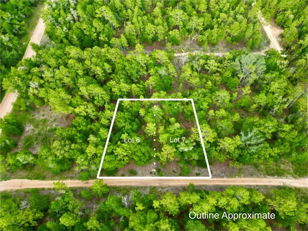 125 Silver Dollar Pond Road Hawthorne FL 32640