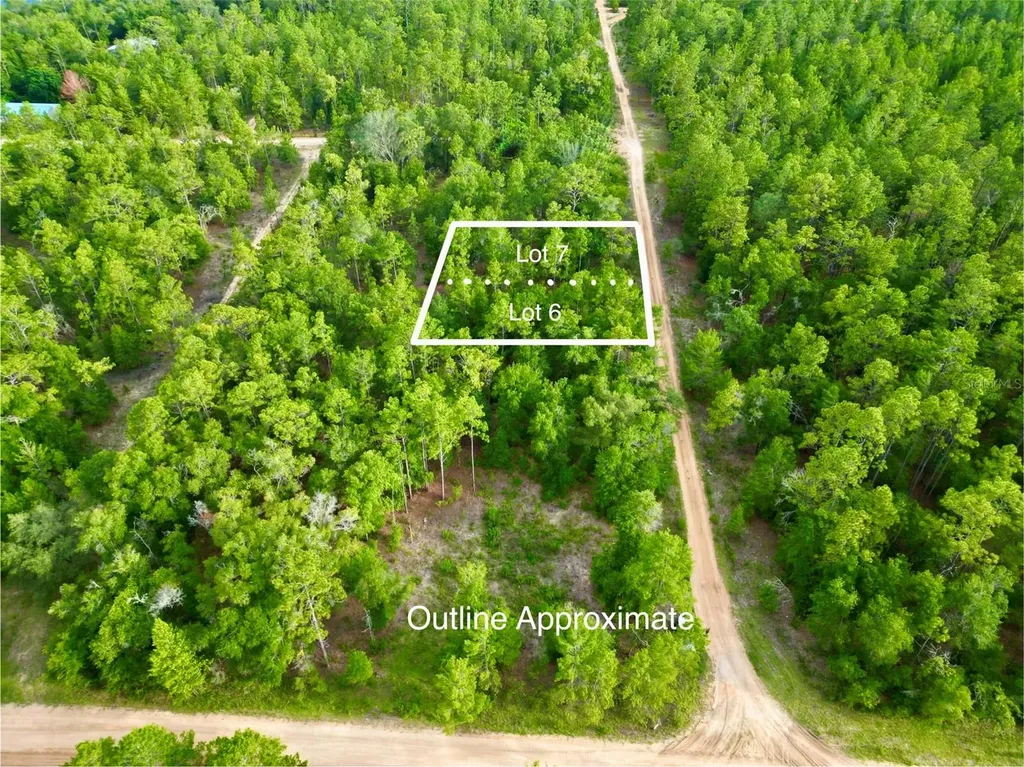 125 Silver Dollar Pond Road Hawthorne FL 32640