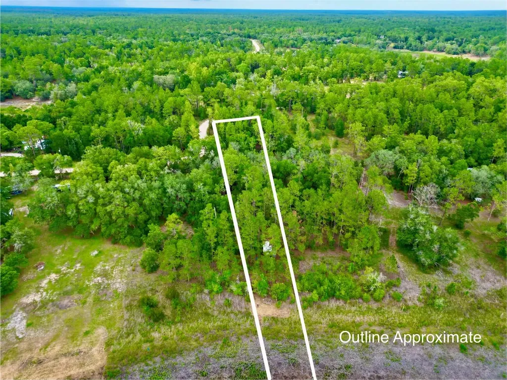 125 Silver Dollar Pond Road Hawthorne FL 32640