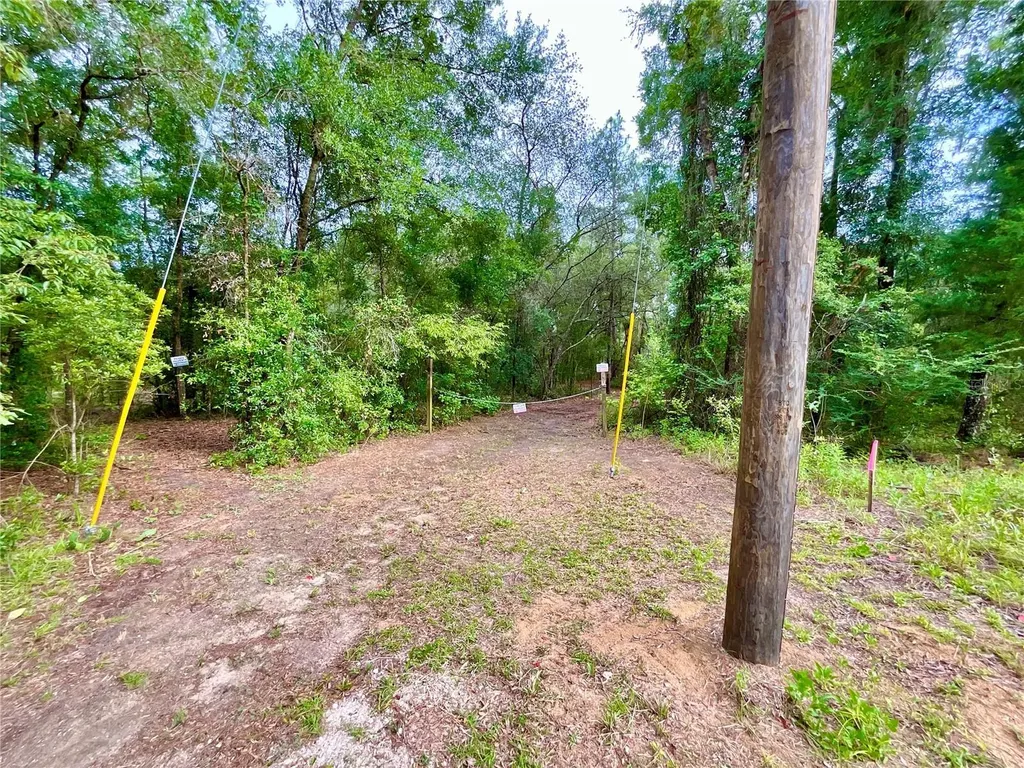125 Silver Dollar Pond Road Hawthorne FL 32640