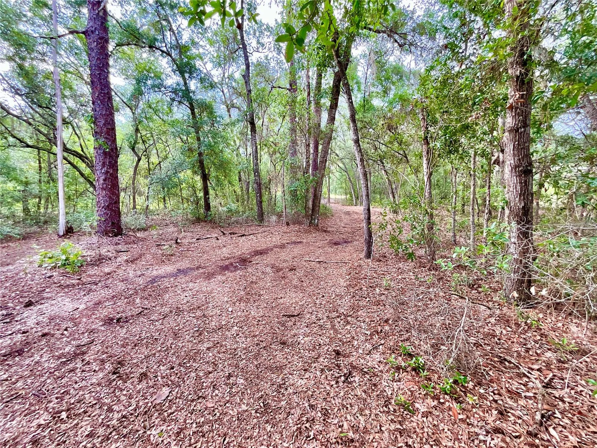125 Silver Dollar Pond Road Hawthorne FL 32640