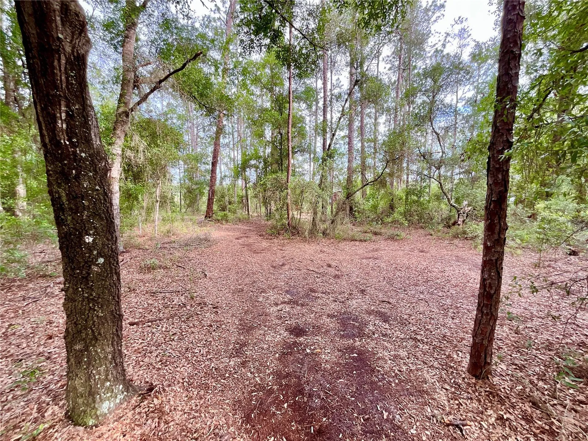 125 Silver Dollar Pond Road Hawthorne FL 32640