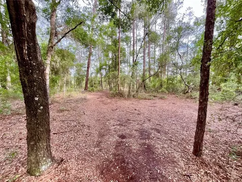 125 Silver Dollar Pond Road Hawthorne FL 32640