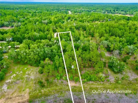 125 Silver Dollar Pond Road Hawthorne FL 32640