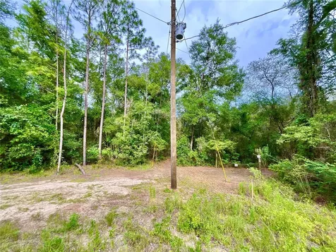 125 Silver Dollar Pond Road Hawthorne FL 32640