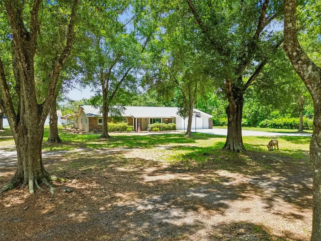 19706 Angel Lane Odessa FL 33556