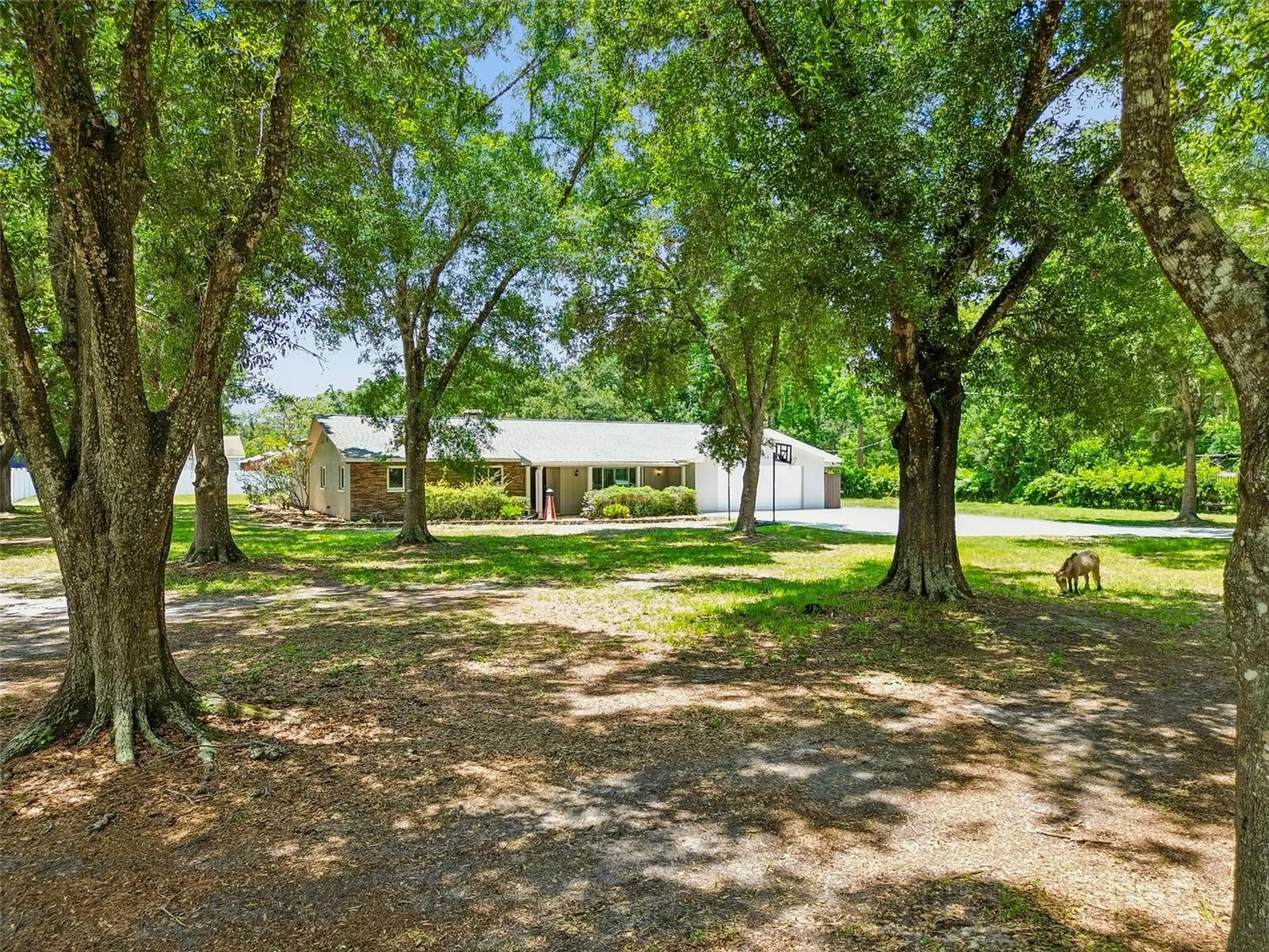 19706 Angel Lane Odessa FL 33556