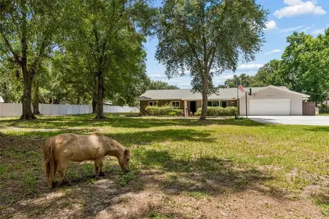 19706 Angel Lane Odessa FL 33556