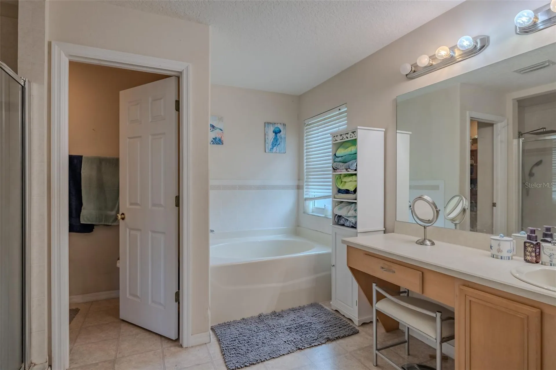 11022 Sailbrooke Drive Riverview FL 33579