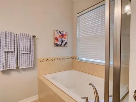 8218 Mystic View Way Windermere FL 34786