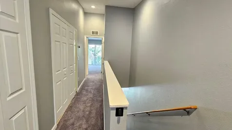 5822 Nature Terrace Cove Tampa FL 33617