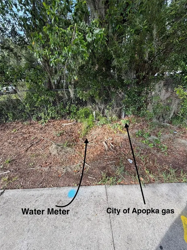 1185 Apopka Boulevard Apopka FL 32703