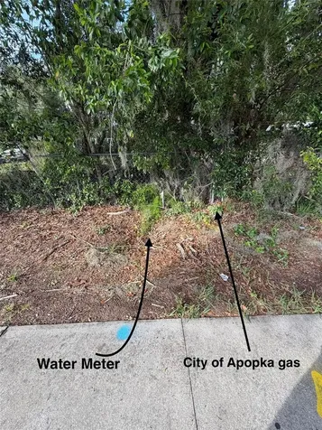 1185 Apopka Boulevard Apopka FL 32703