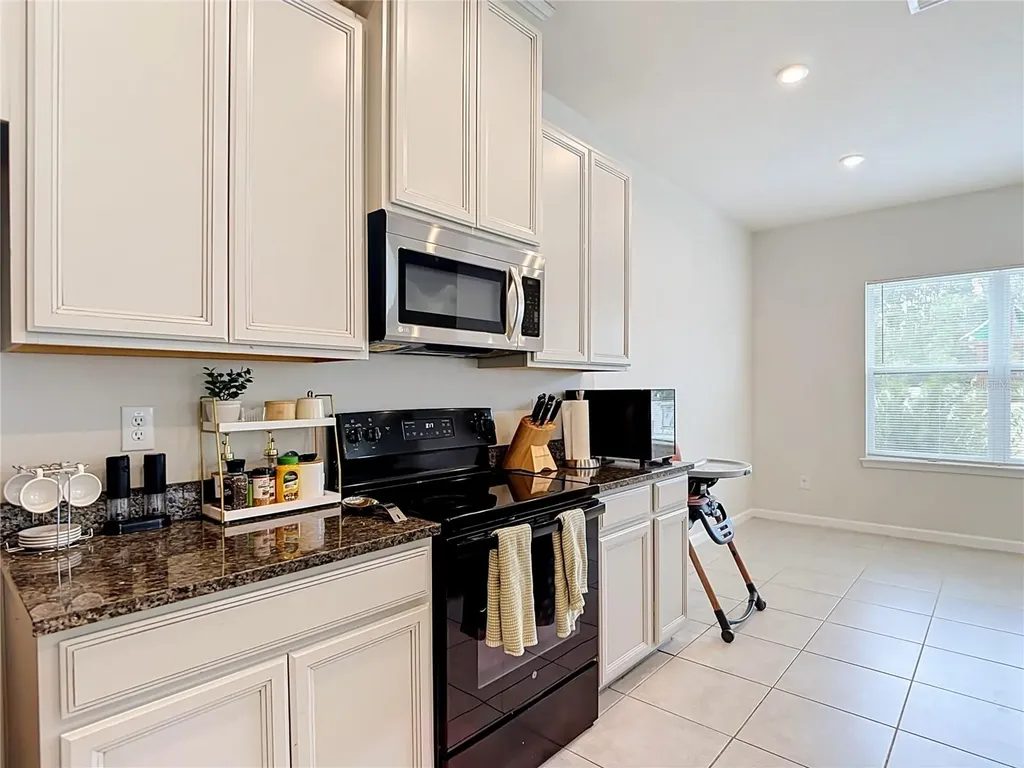 10699 Old Sycamore Loop Land O Lakes FL 34638