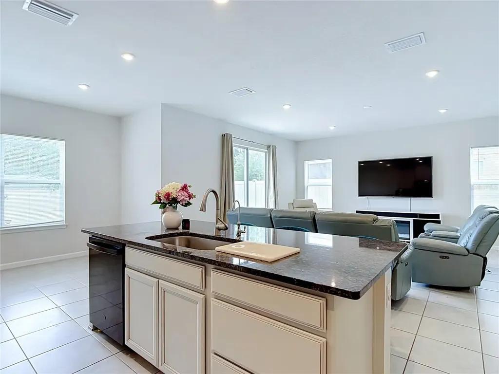 10699 Old Sycamore Loop Land O Lakes FL 34638