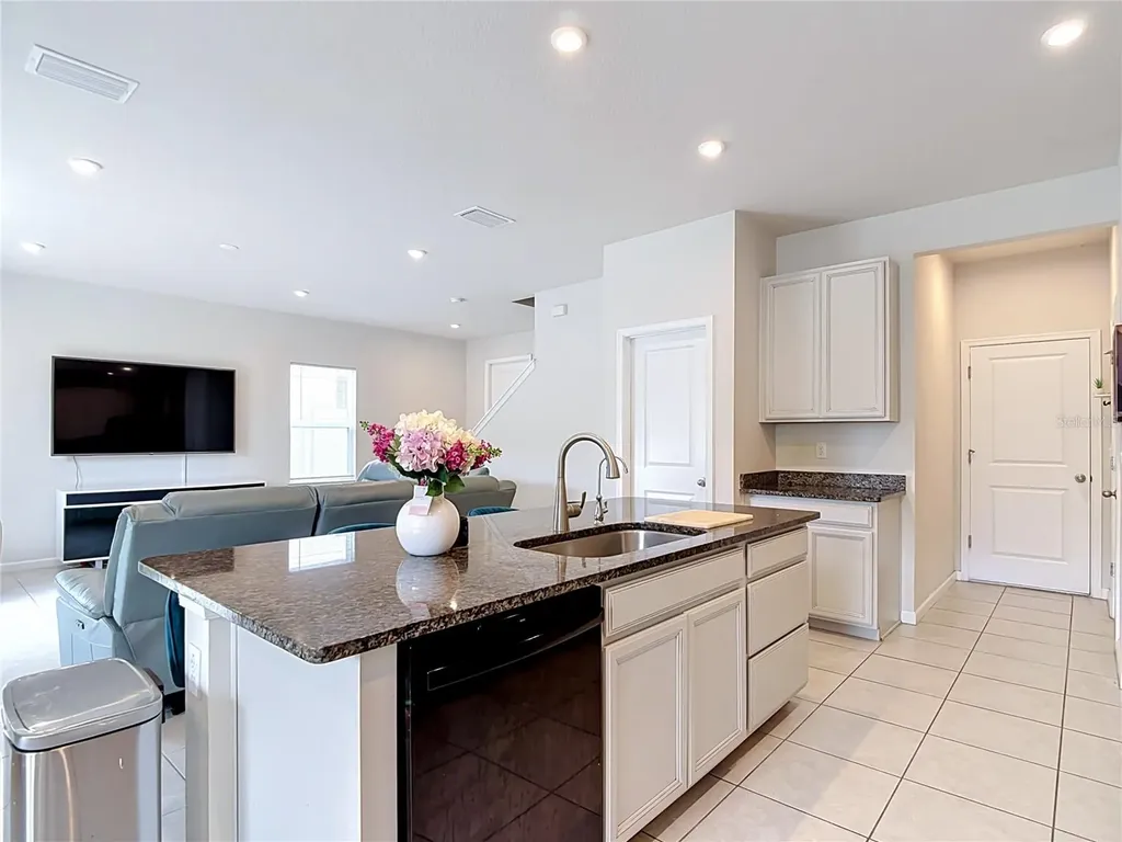 10699 Old Sycamore Loop Land O Lakes FL 34638