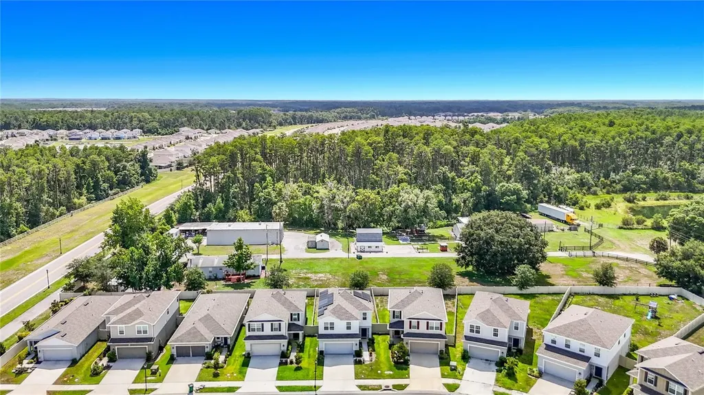 10699 Old Sycamore Loop Land O Lakes FL 34638
