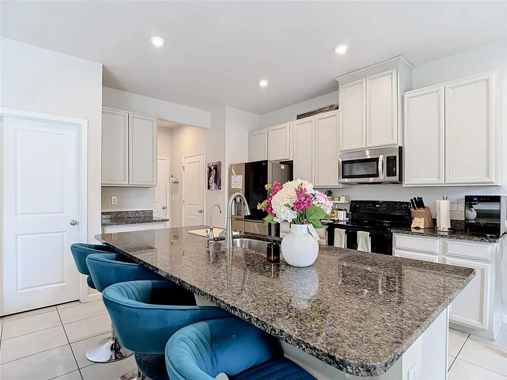 10699 Old Sycamore Loop Land O Lakes FL 34638