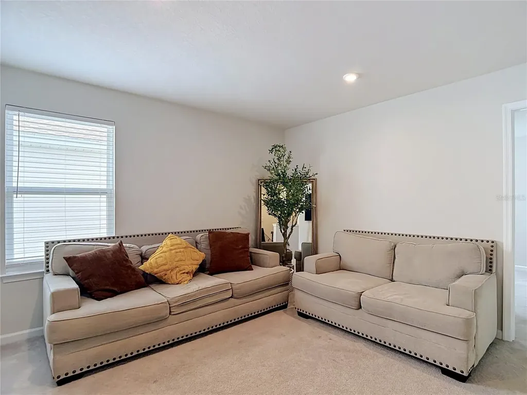 10699 Old Sycamore Loop Land O Lakes FL 34638