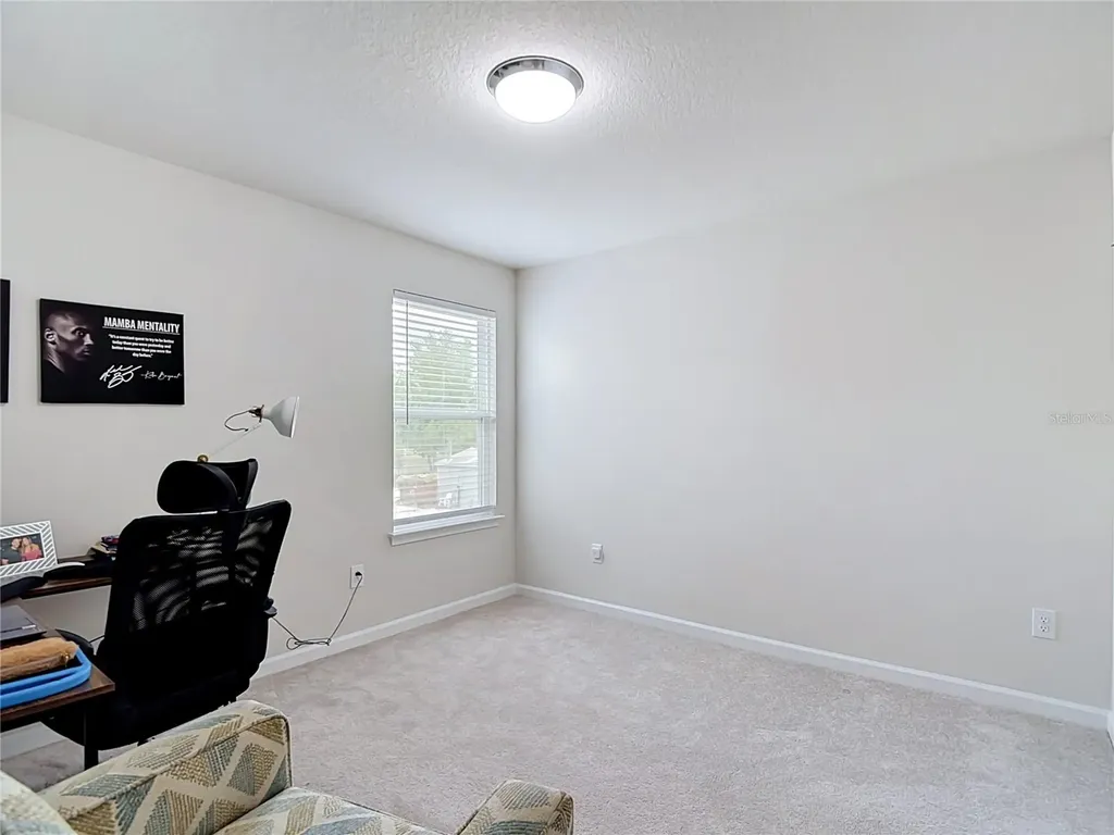 10699 Old Sycamore Loop Land O Lakes FL 34638