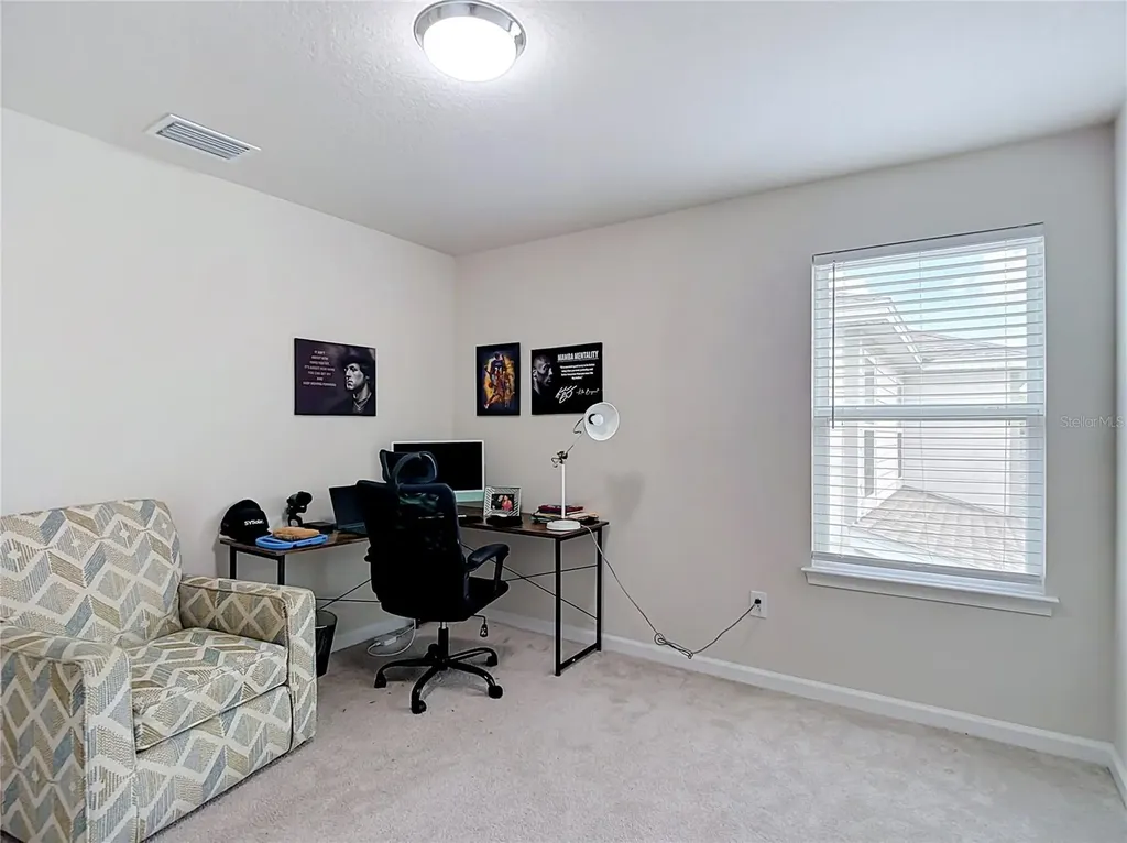 10699 Old Sycamore Loop Land O Lakes FL 34638