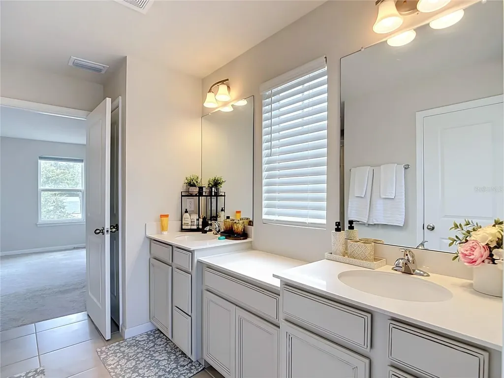 10699 Old Sycamore Loop Land O Lakes FL 34638