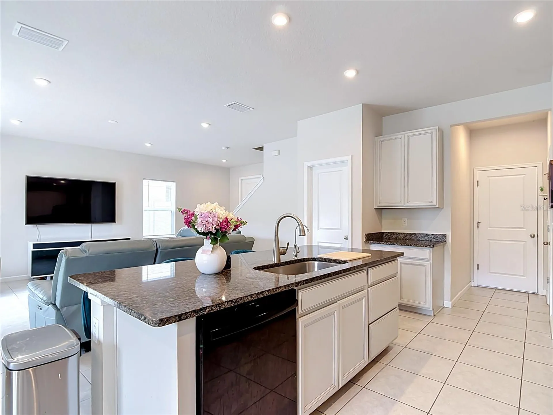 10699 Old Sycamore Loop Land O Lakes FL 34638