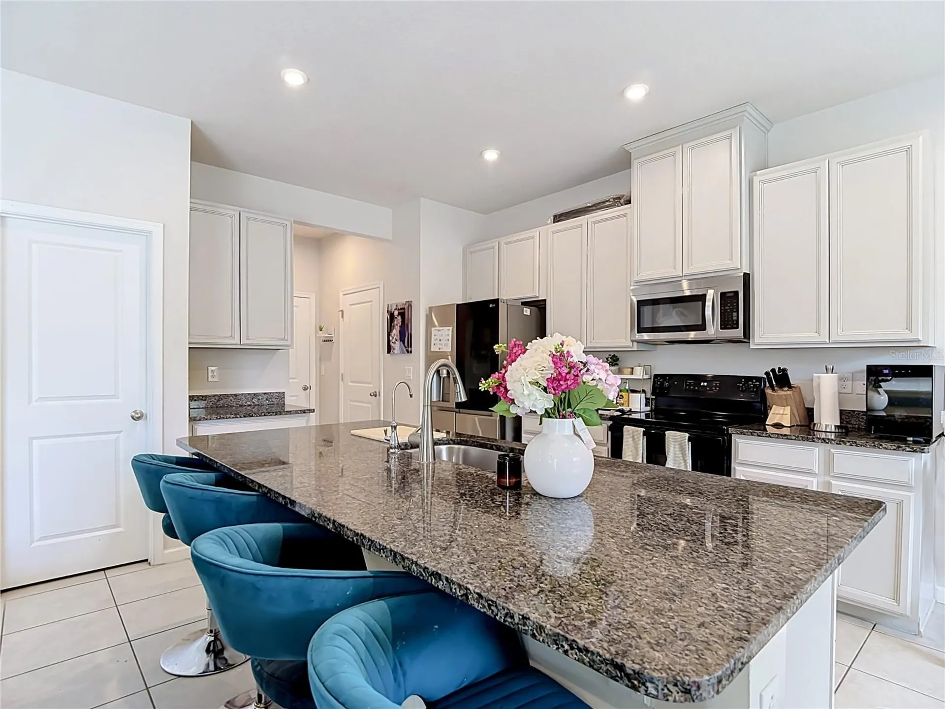 10699 Old Sycamore Loop Land O Lakes FL 34638