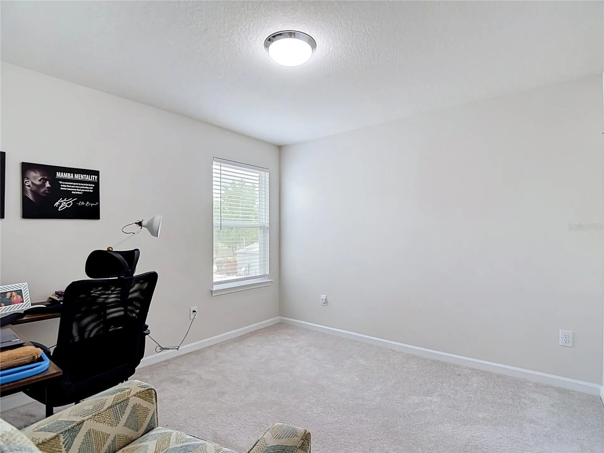 10699 Old Sycamore Loop Land O Lakes FL 34638