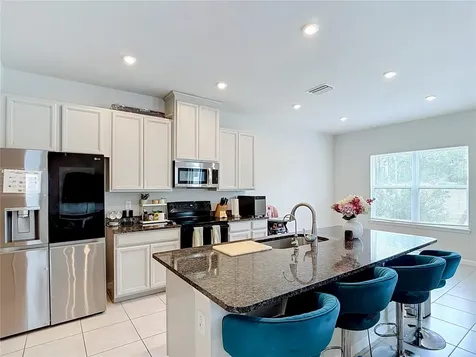 10699 Old Sycamore Loop Land O Lakes FL 34638