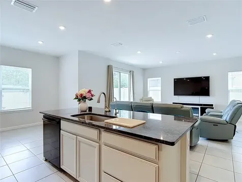 10699 Old Sycamore Loop Land O Lakes FL 34638