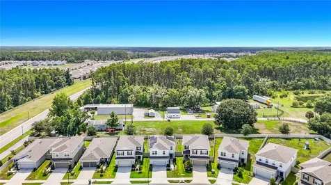 10699 Old Sycamore Loop Land O Lakes FL 34638