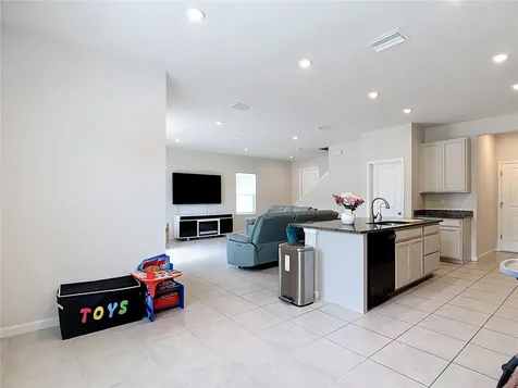 10699 Old Sycamore Loop Land O Lakes FL 34638