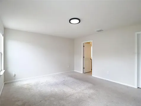 10699 Old Sycamore Loop Land O Lakes FL 34638