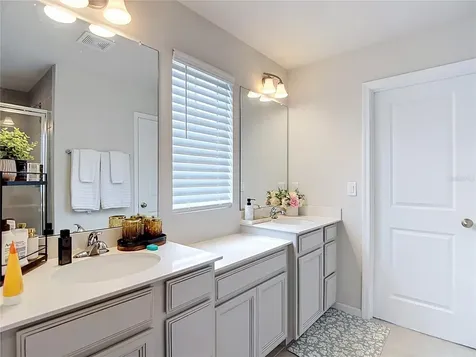 10699 Old Sycamore Loop Land O Lakes FL 34638
