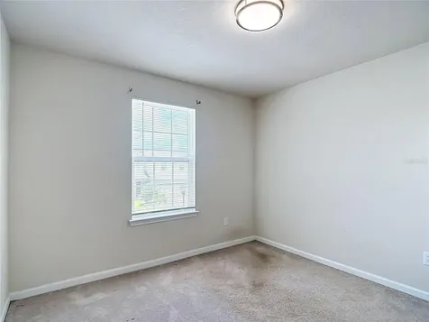 10699 Old Sycamore Loop Land O Lakes FL 34638