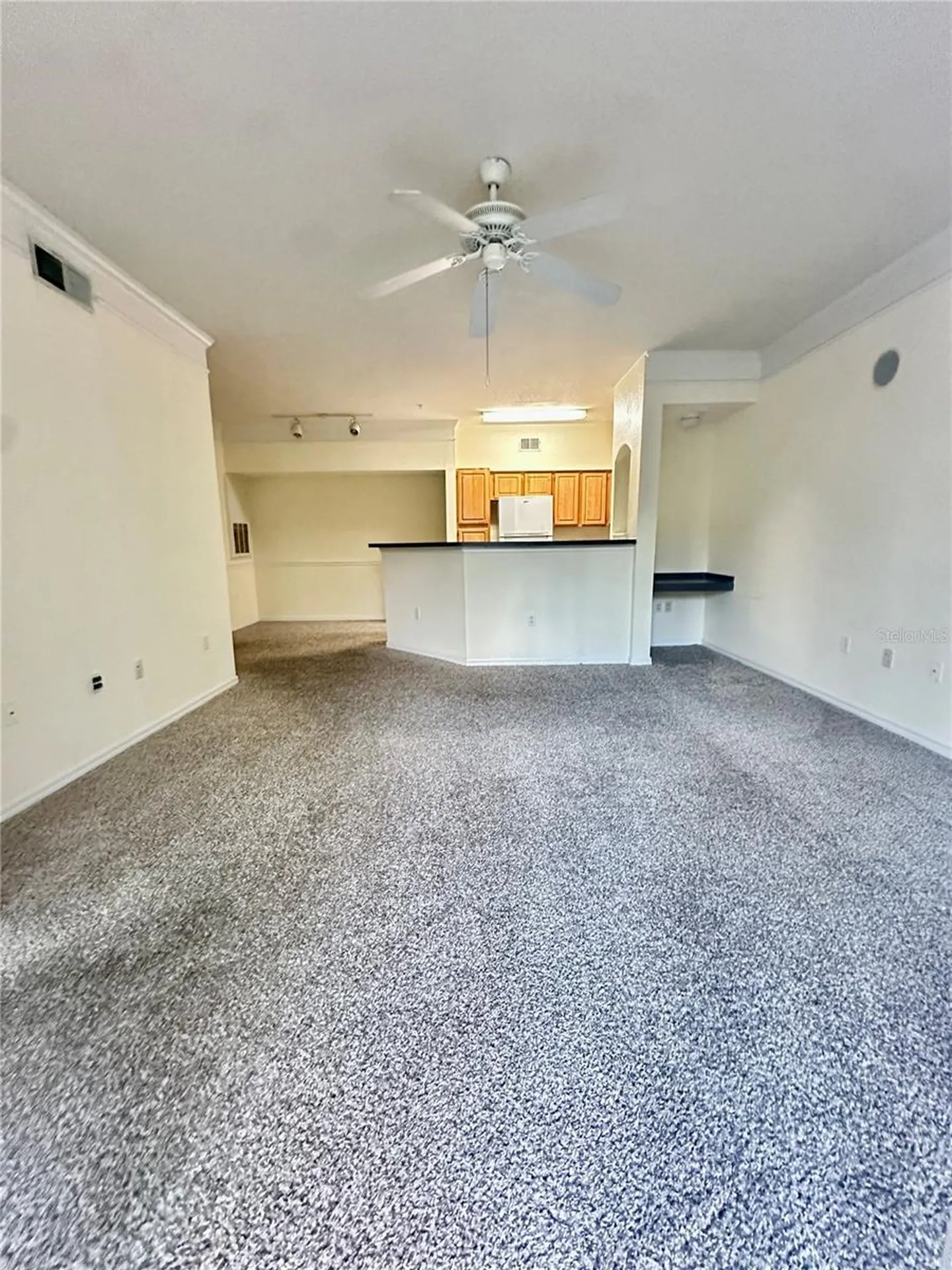 3446 Soho Street Orlando FL 32835