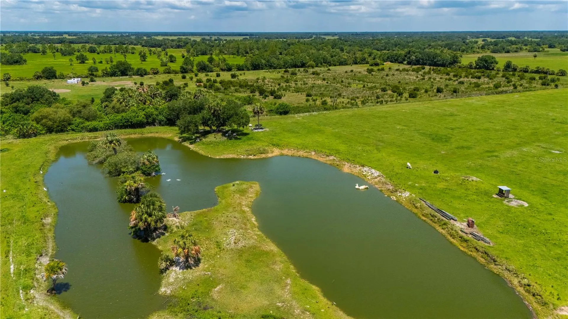 12241 SW Gordon Hay Road Arcadia FL 34269