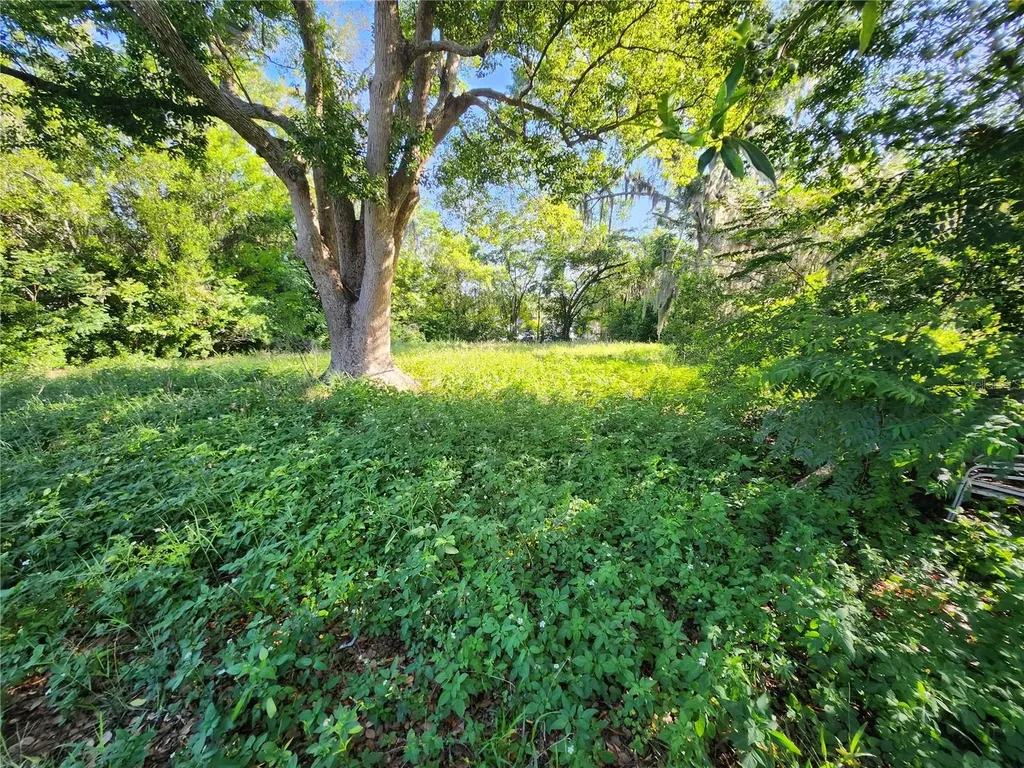 1434 Newhope Road Spring Hill FL 34606