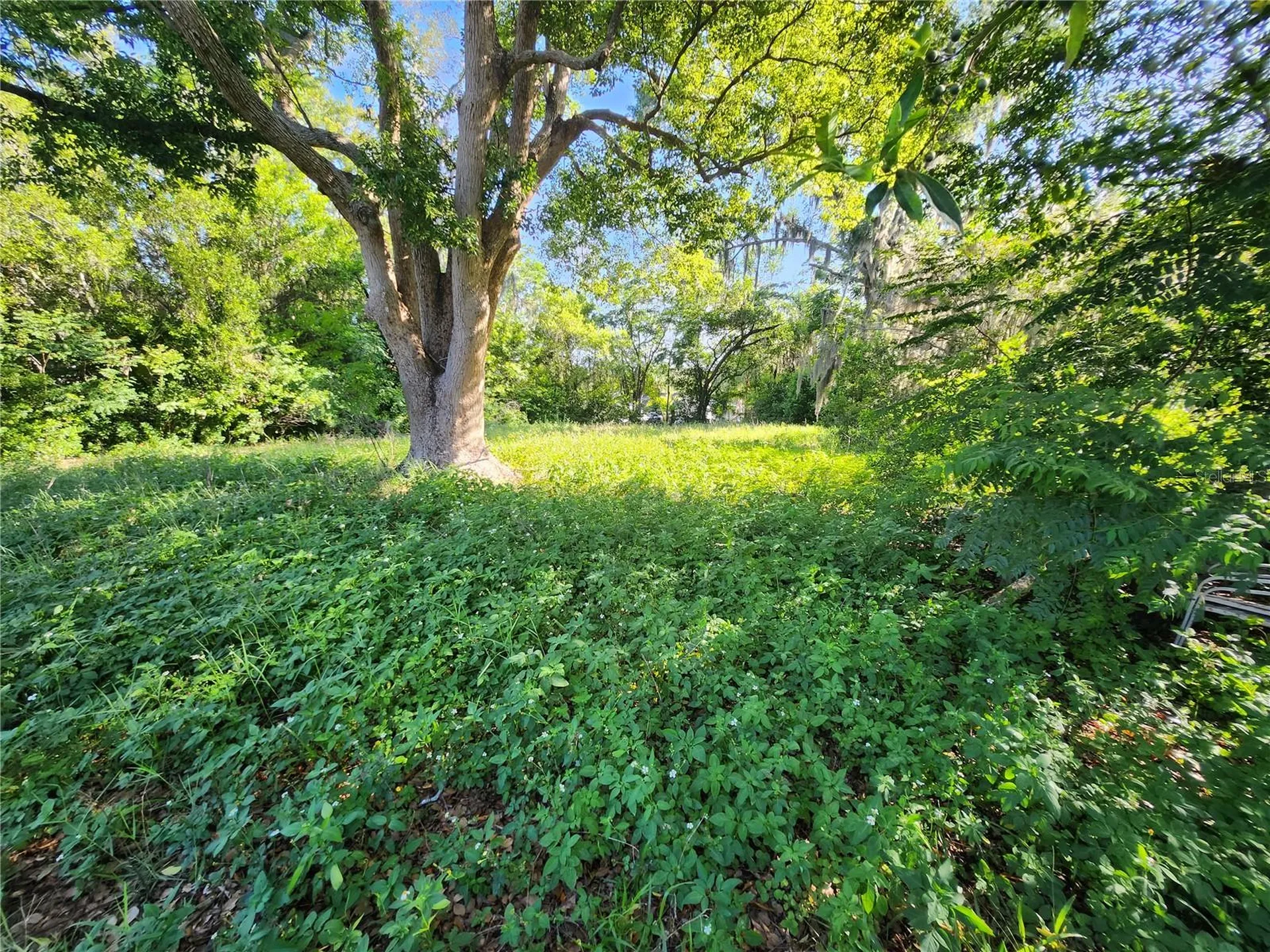 1434 Newhope Road Spring Hill FL 34606