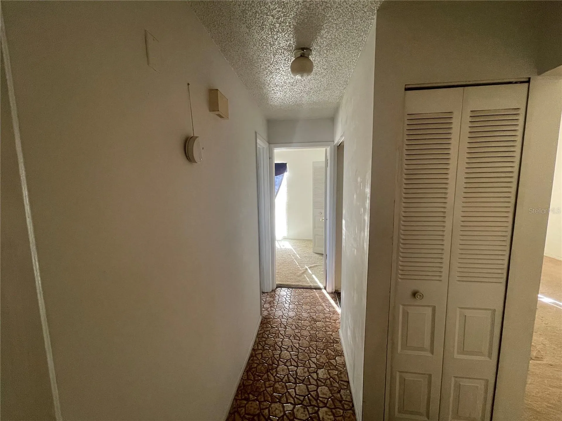 11001 Sunswept Place Tampa FL 33624