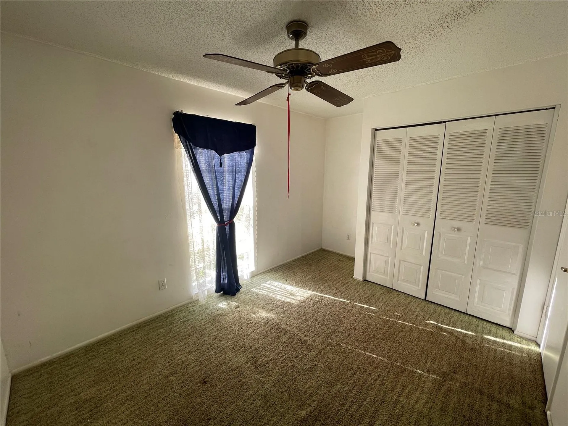 11001 Sunswept Place Tampa FL 33624