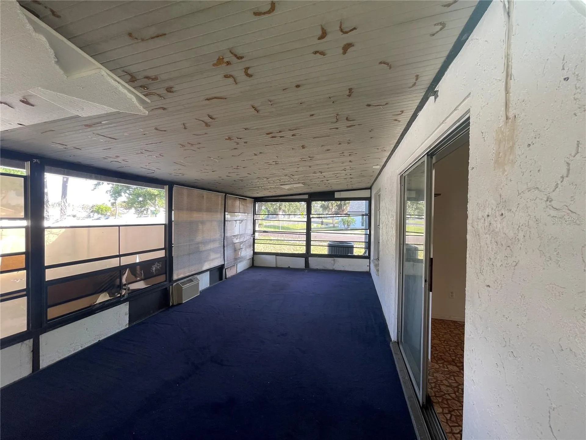 11001 Sunswept Place Tampa FL 33624